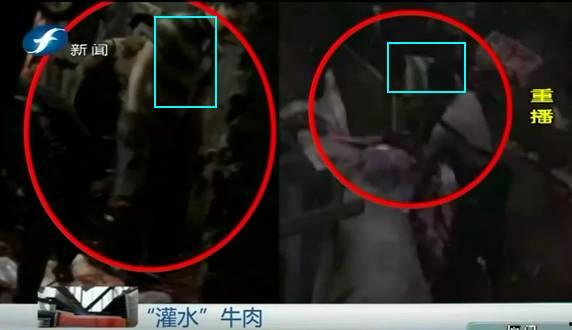 屠宰最新爆料消息网,屠宰行业惊人内幕大揭秘！  第3张