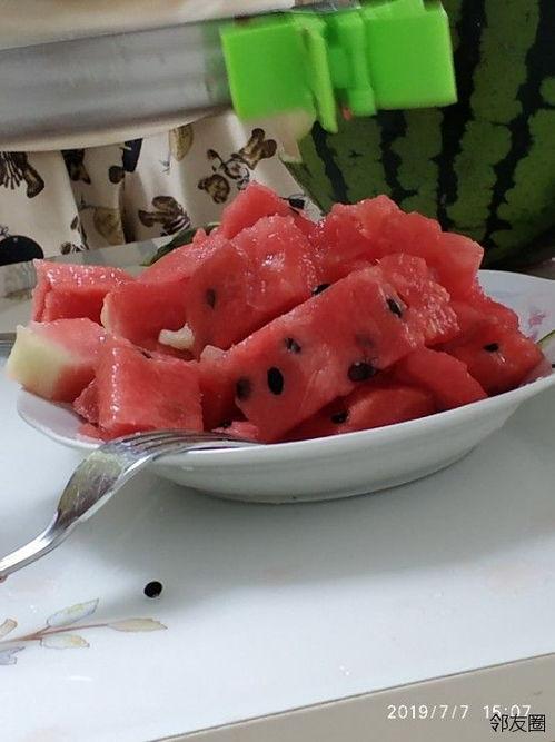 免费网红吃瓜神器视频,免费视频带你畅享娱乐盛宴 第1张 免费网红吃瓜神器视频,免费视频带你畅享娱乐盛宴 第1张